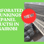Perforated Trunkings (Panel Ducts) in Nairobi